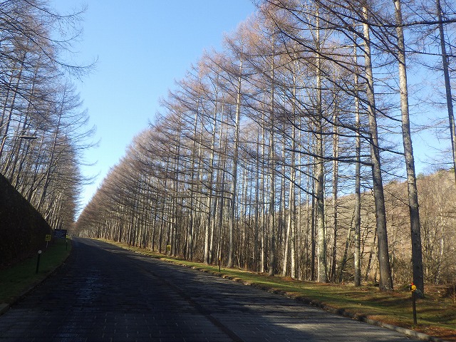 20231127-1.jpg