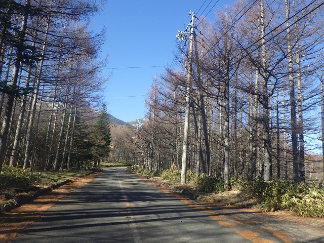 20231127-3.jpg