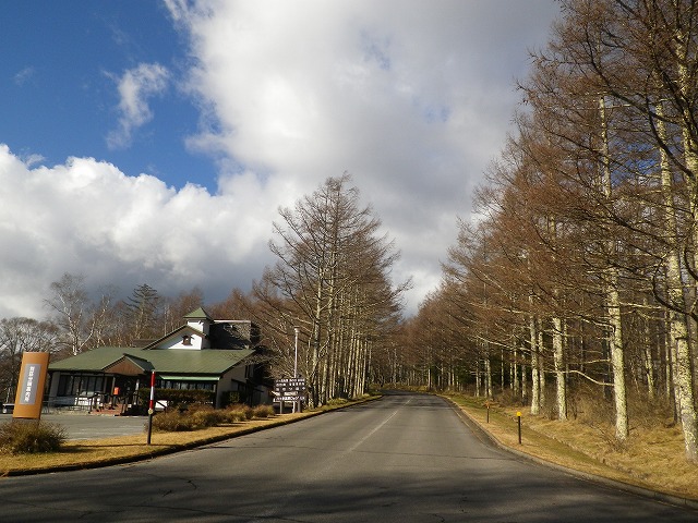 20231128.jpg