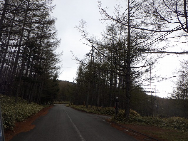 20250509-3.jpg