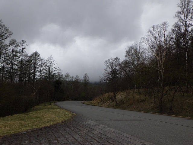 20250509-5.jpg