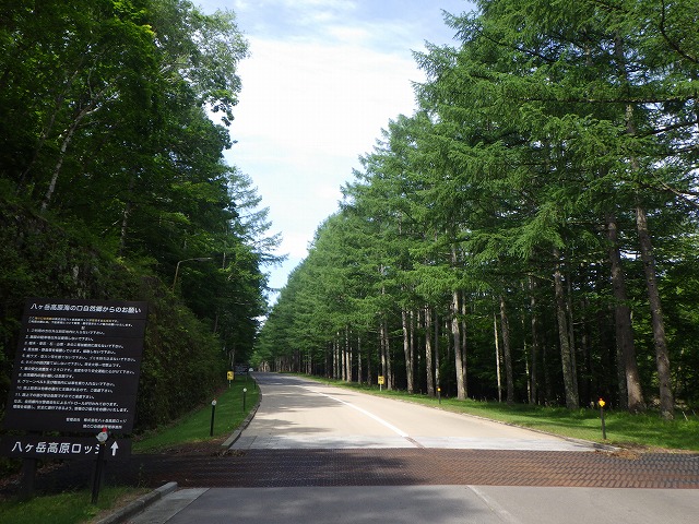 RIMG0731.jpg