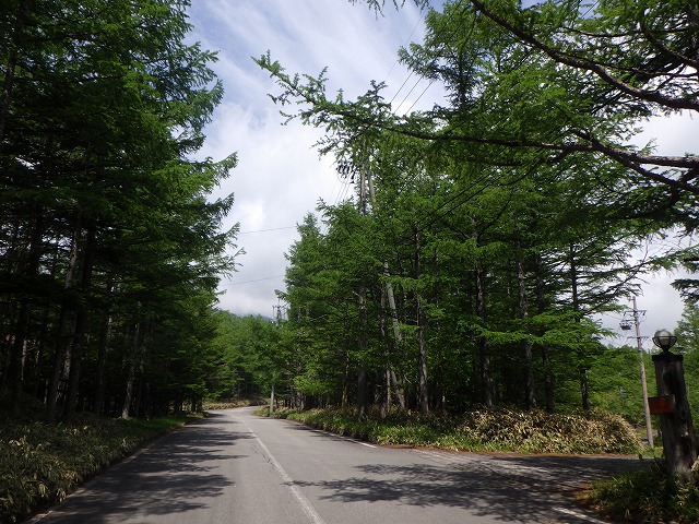 RIMG0733.jpg