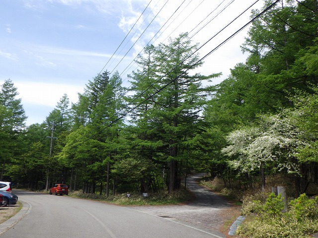 RIMG0734.jpg