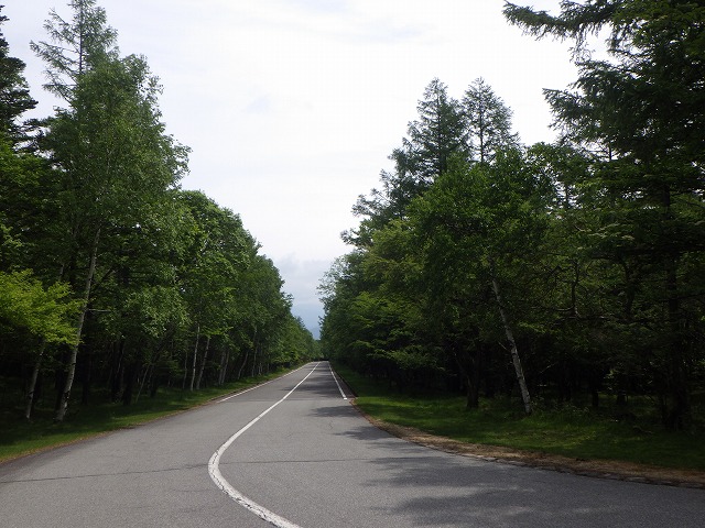 RIMG0736.jpg